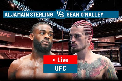 sean o malley salary|Aljamain Sterling vs. Sean OMalley purse, salaries:。